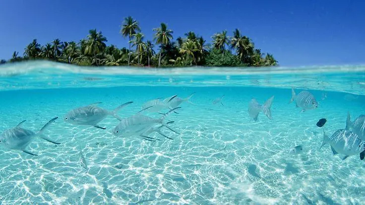 شقة فندقية بونتا كانا Blue Water Gentle Breeze - Condominio Retiro Bavaro - Espinal II